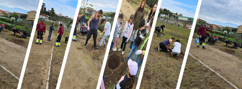 Centro Cívico de Campo ganha nova vida com a plantação de 145 árvores